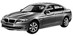 BMW F10 C254C Fault Code